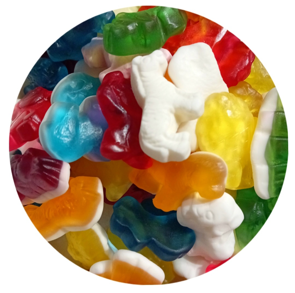 Haribo crazy Jungle